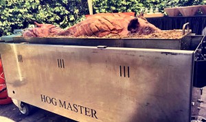 Warwickshire - hogmaster